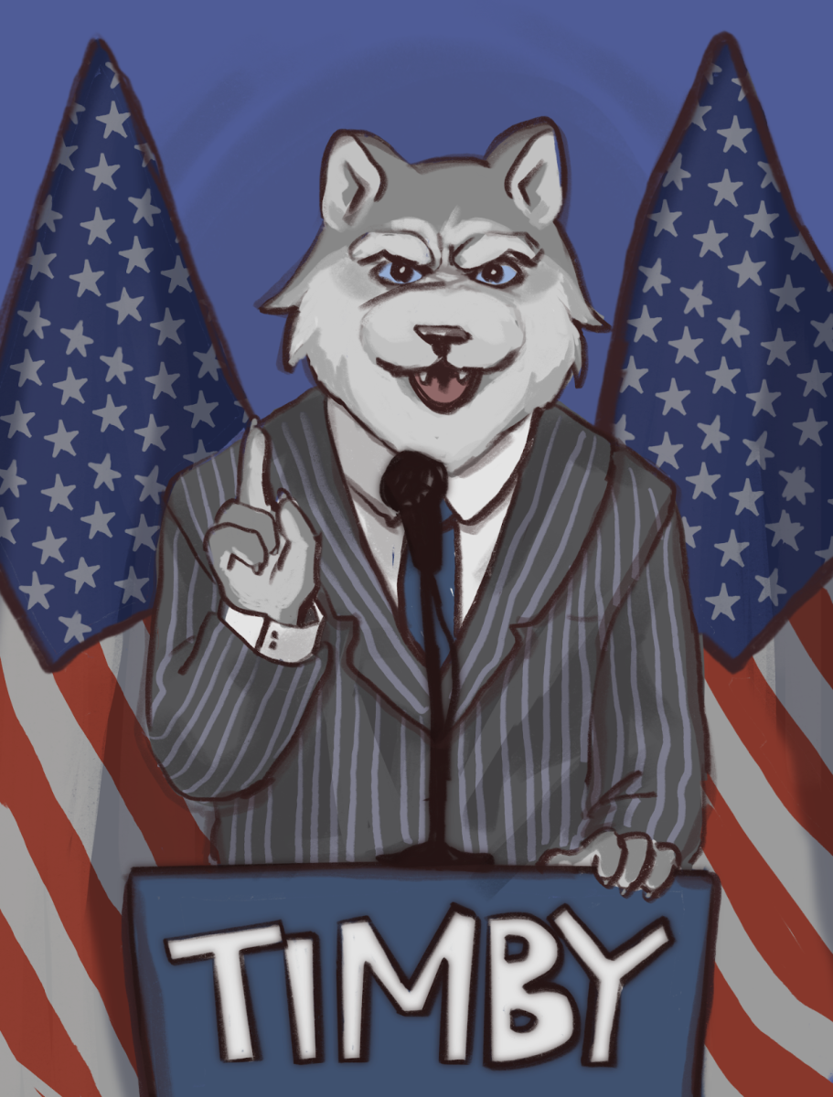 TIMBYMERICA: The patriotic mascot, the one who calls the shots.